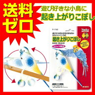 【2個セット】 起き上がり こぼし 止まり木 インコP-1742 厳選素材