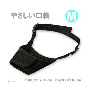 y3Zbgz A[Xybg nh[ ₳ M ^p  A[XEybg ~jp  ybg If