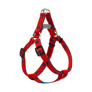 A[Xybg DISUKI _CXL NXvXy M ^p pn[lX  S A[XEybg ybg If i1̂lił