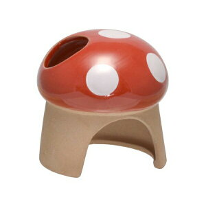 �y2�Z�b�g�z SAK539�f�Ă��n�E�X���̂��� �O�W���� ���I�f��