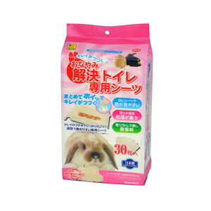 y3Zbgz OW Ȃ݉gC pV[c P10 If