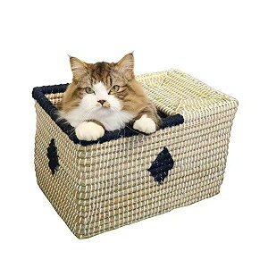 hM[} LeB[} ɂ񂱂̃fj {bNX 1 L 400×s250×250mm(:220×s200mm) hM[}nV picƕ If i1̂lił