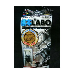 y3Zbgz tWR tWRW{ LABO 6_Zbg  If