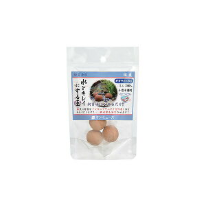 y6Zbgz }c_ [ICg̋ ~j uE 3 If