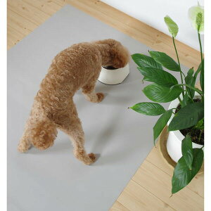 y6Zbgz O@ RtB}`V[g 57×80 O[ ~ NbV  V[g lR uE Ck Y {  }bg h n ^ ybg z ^ V ^