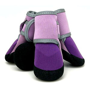 y12Zbgz ACu PAW VEIEP [p[v 1 ی ybgp C V[Y  ЊQ h ^ u[c p pC ^ ^ ی U If