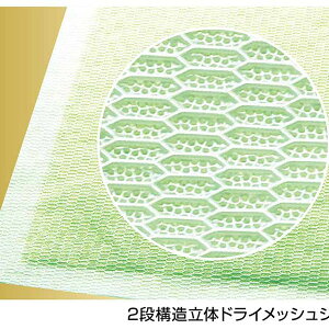 y3Zbgz CI T uybgV[g Ch 24  V[g LION CIybg CI gCV[c Vv[ ChTCY ybgV[c ybgV[g ybgpi 