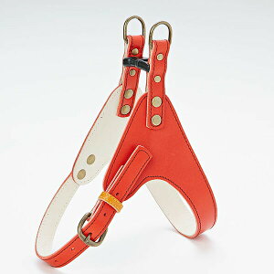 y6Zbgz yeBI AhCg AeB[NU[X^Cn[lX SS bh ybgpi yeBIAhCg ^p Y v n[lX  If