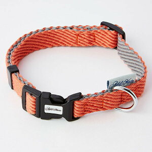 y6Zbgz yeBI AhCg \tgXLbvJ[SS bh p ybgpi yeBIAhCg ^p ybg p 킢   If