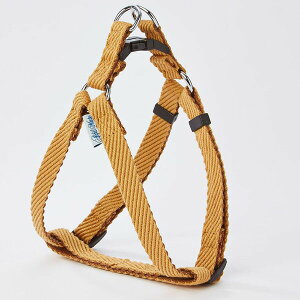 y6Zbgz yeBIAhCg \tgXLbvn[lX SS x[W AhCg ybgpi ^p  yeBI ybg p 킢  If