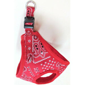 y12Zbgz 쐻쏊 yCY[\tgn[lX SS bh ybgpi ^p  p Lp If