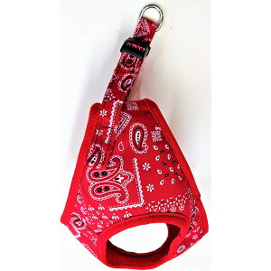 y3Zbgz 쐻쏊 yCY[\tgn[lX S bh If