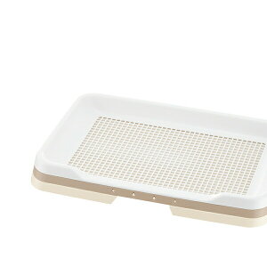 b`F |ȒPXebvg[ M[(bVt) AC{[ M[ gCg[  SN Richell _[NuE CeA g[jO h~ CgsN 