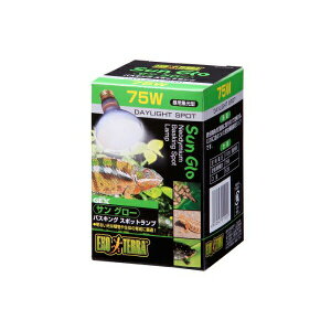 y  z WFbNX GL]e TO[ oXLOX|bgv 75W pW^