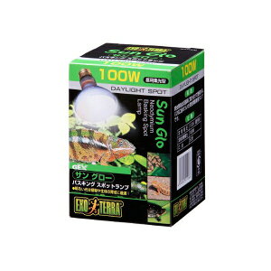 y  z WFbNX GL]e TO[ oXLOX|bgv 100W pW^