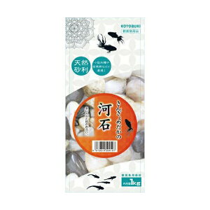 y6Zbgz 񂬂߂̉͐1kg ܂Ƃ߃Zbg