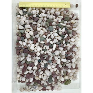 y3Zbgz ybgCu[ aquaneru {ܐF 2kg