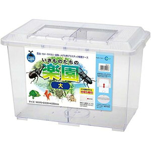 y2Zbgz }J vP[X ̂̊y 