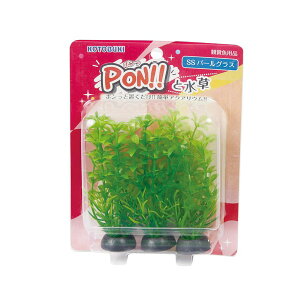 y12Zbgz H| PON-SS p[OX RguL