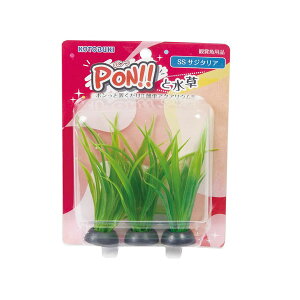 y3Zbgz H| PON-SS TW^A RguL