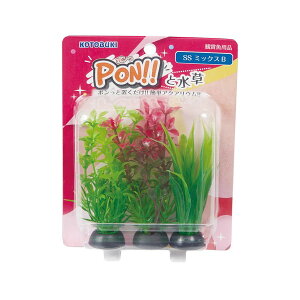 y3Zbgz H| PON-SS ~bNXB RguL