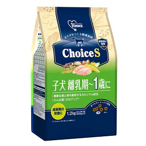 A[Xybg t@[Xg`CX ChoiceS q]1΂ 1.2kg A[XEybg If i1̂lił