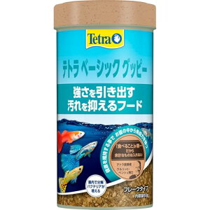 【3個セット】 スペクトラム ブランズ ジャパン テトラ ベーシック グッピー 60g