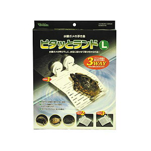 y6Zbgz roA s^bƃh L