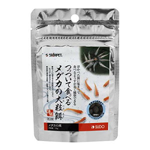 y6Zbgz Xh[ _J̑嗱a 10g