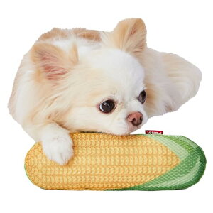 y3Zbgz yeBI p 􂦂! ݂CORN