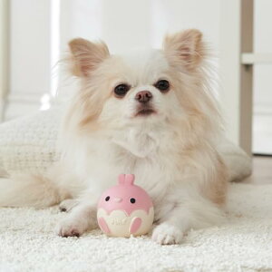 y6Zbgz yeBI p 炩TOY ׃r 