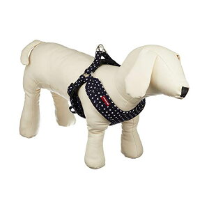 JmY M2966DB}CX^[\teBn[lXMX^[ M2966DB