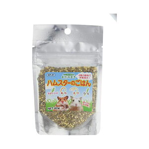 y20Zbgz ybgt[h Rh nX^[̂͂ 40g