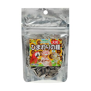 y6Zbgz ybgt[h Rh Ђ܂̎嗱 20g