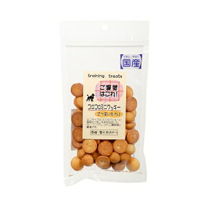 y12Zbgz G[Xv_Nc J͂! RR~jNbL[܂ 40g