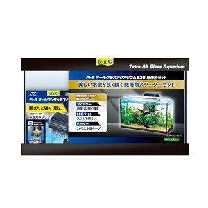 XyNg uY Wp eg I[OXANAE520 MыZbg