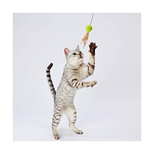 �y�e�B�I �v���V���b�v���ƕ� �L�p�������� Happiness Cat �E�[���{�[������炵 �{�[���t�F�U�[