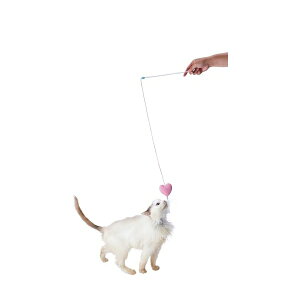 �y�e�B�I �v���V���b�v���ƕ� �L�p�������� �L���L���f���^������炵 �}�W�J���n�[�g