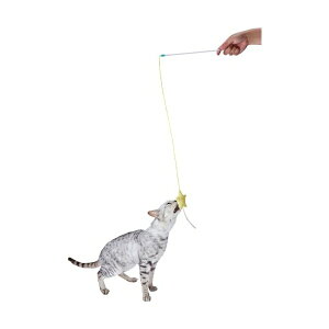 �y�e�B�I �v���V���b�v���ƕ� �L�p�������� �L���L���f���^������炵 �}�W�J���X�^�[