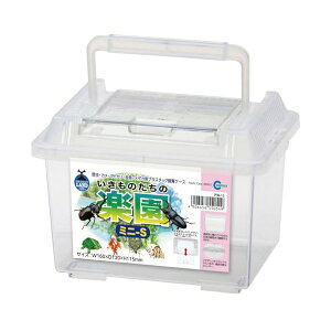 }J PW 13 vP[X ̂̊y ~jS