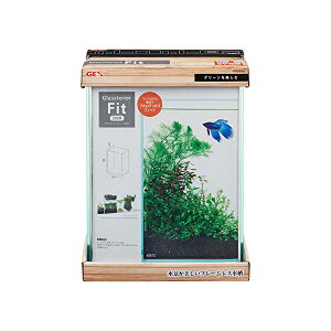 y3Zbgz WFbNX OXeA tBbg 200H