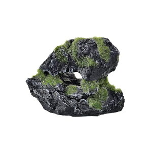 y3Zbgz WFbNX i XbN Cave