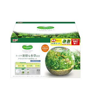 WFbNX MeGreen VNȐt OXANAXtBAZbg