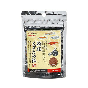 y12Zbgz Xh[ _J̉a20g