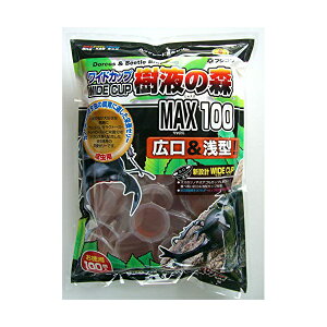 y12Zbgz tWR ChJbvt̐X100P