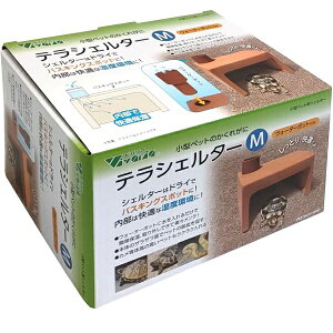 y3Zbgz roA eVF^[ M