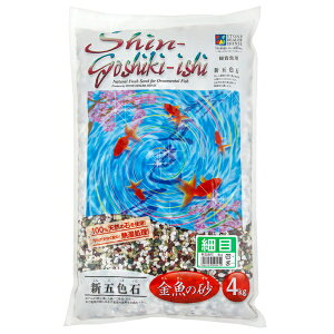 y12Zbgz Xg[fB[[EVZ[ VܐF ז4kg