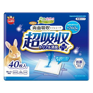 �y6�Z�b�g�z �}���J�� �������̗��ʋz���g�C���V�[�c40��