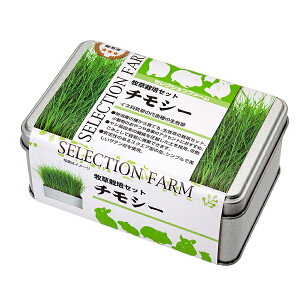 y6Zbgz C[X^[ ZNVt@[ q͔|Zbg `V[