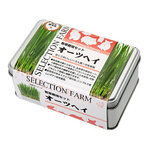 y3Zbgz C[X^[ ZNVt@[ q͔|Zbg I[cwC